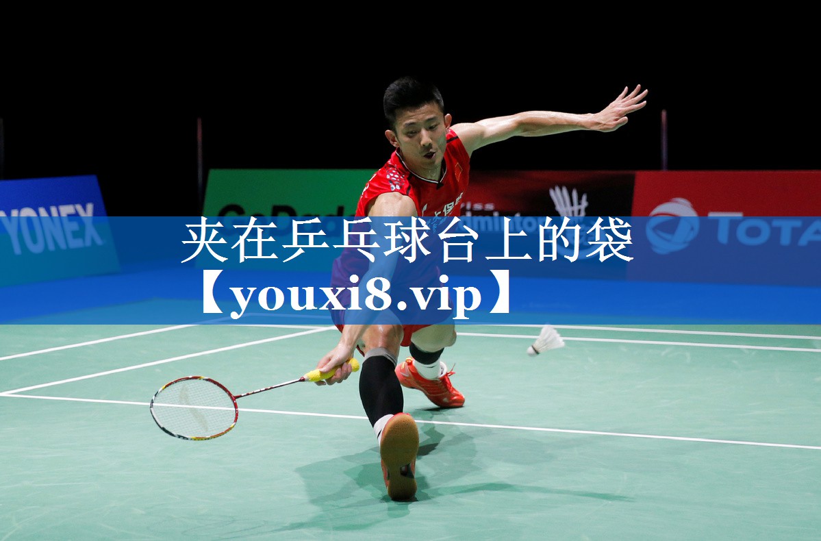 夹在乒乓球台上的袋