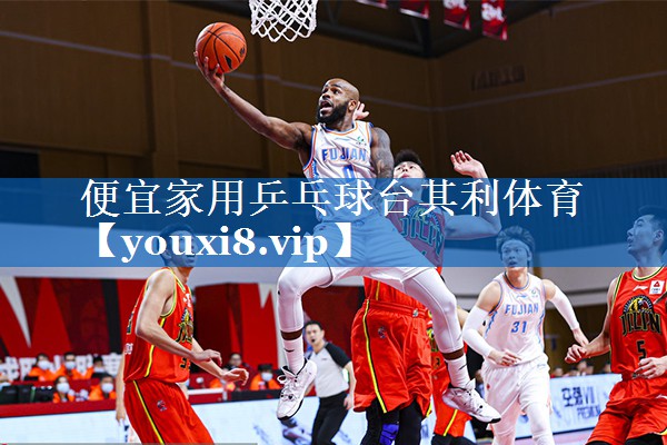 便宜家用乒乓球台其利体育