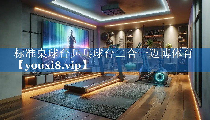 标准桌球台乒乓球台二合一迈博体育