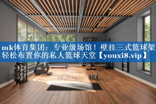 专业级场馆！壁挂三式篮球架轻松布置你的私人篮球天堂