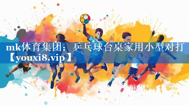 乒乓球台桌家用小型对打