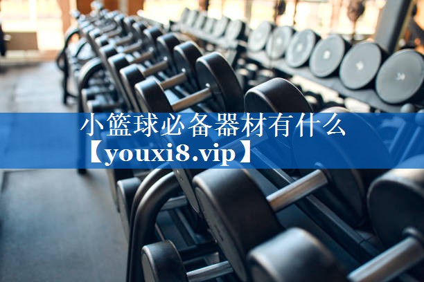 小篮球必备器材有什么