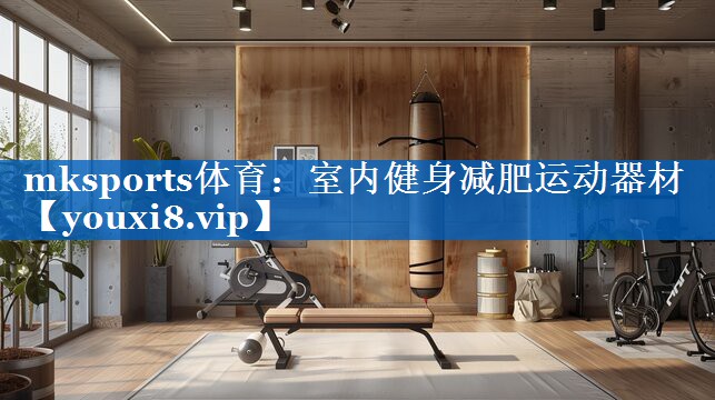 室内健身减肥运动器材 室内健身减肥运动器材